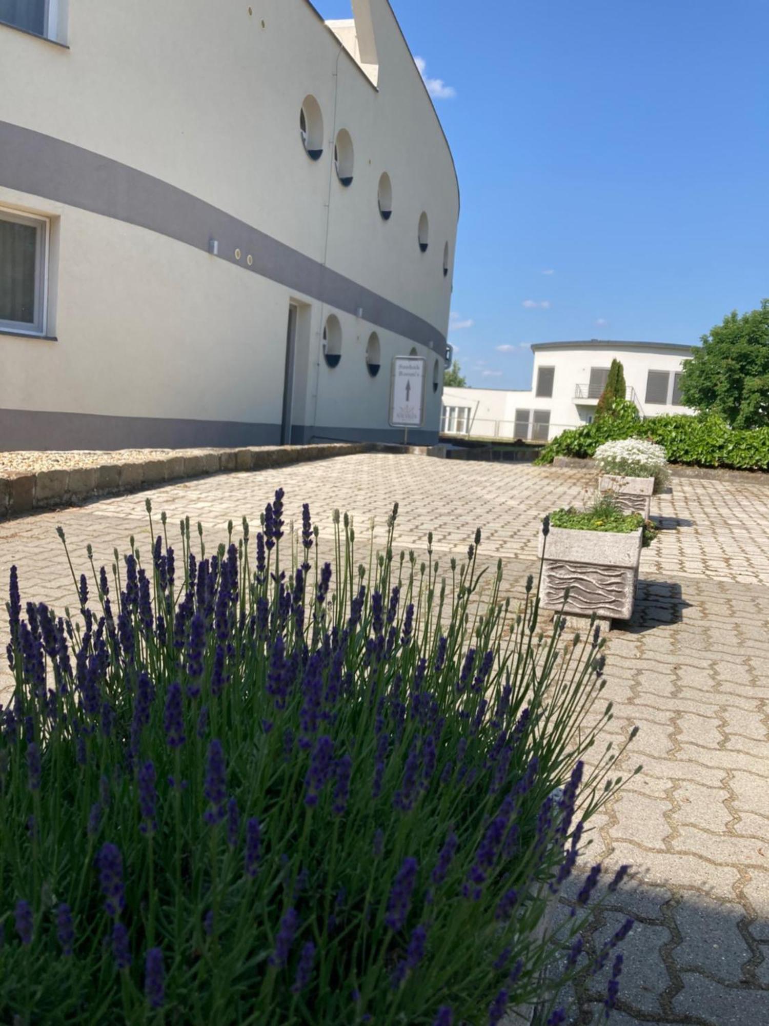 Nautilus Étterem és Panzió Dabas Exterior foto